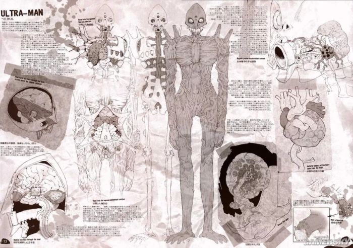 EVA之父庵野秀明与GAINAX的纠葛 从电脑动画革命到恩怨纷争